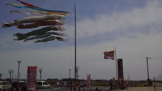 NEC_0023.JPG