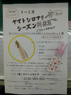 P1000810.JPG